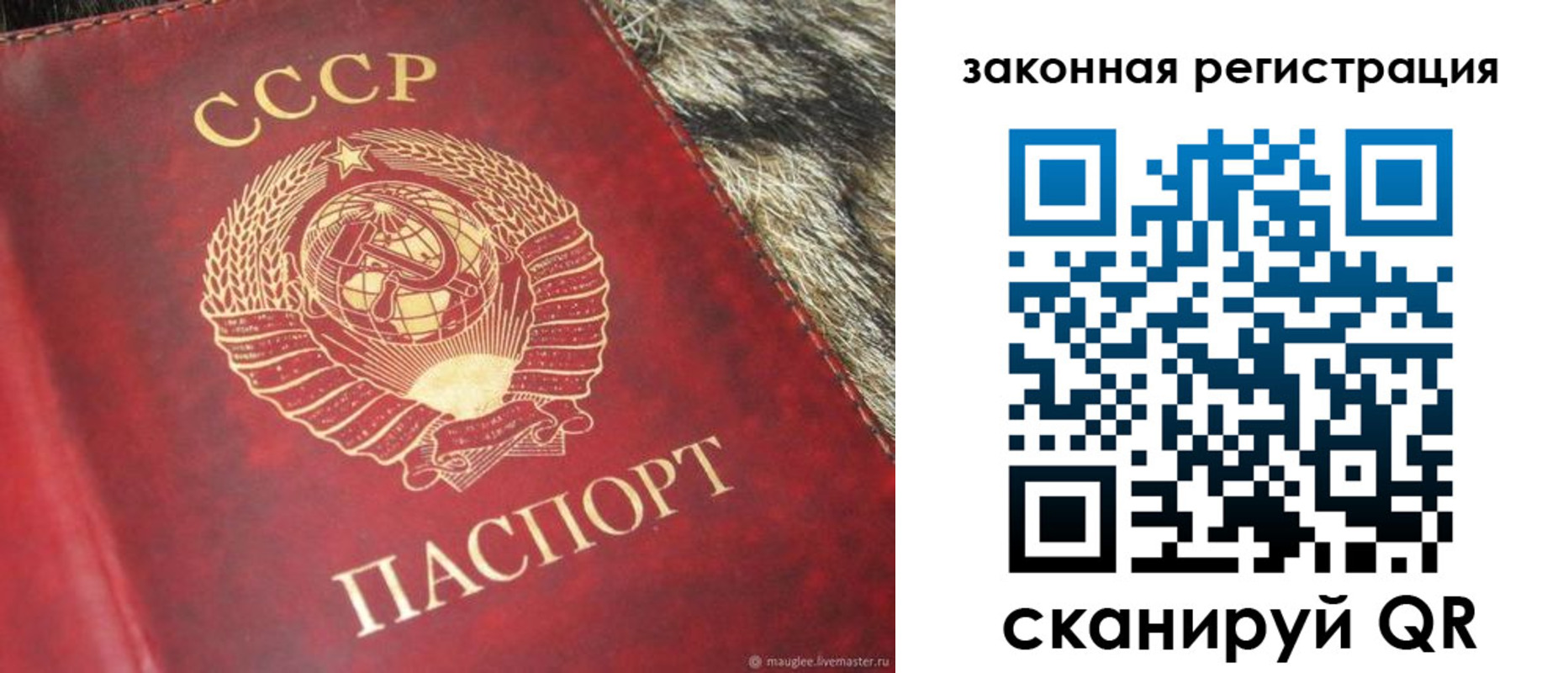 прописка от собственника в Тавде
